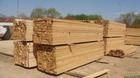 永荣木业供应建筑方木，建筑方木质图1