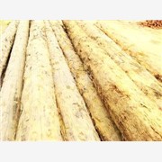 永荣木业岚山大型木材加工厂，木材图1