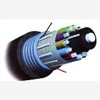 AMP光纤光缆，安普光纤光缆代理