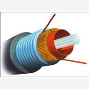 安普光纤，安普光纤代理，安普光纤图1