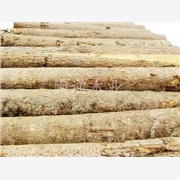 永荣木业优质建筑板材供应，建筑板