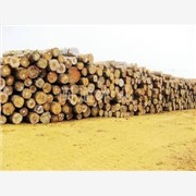 永荣木业供应优质铁杉板材，铁杉板图1