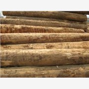国行木业供应铁杉松方木，铁杉生产图1