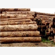 国行木业樟子松板材，樟子松加工，