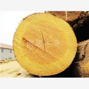 国行木业铁杉方木，铁杉方木价格，图1