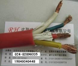 硅橡胶电缆图1