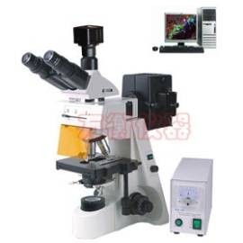 电脑型落射荧光显微镜M40C