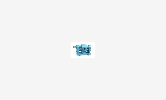 WCB-12外润滑齿轮泵图1