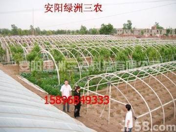 蔬菜大棚骨架机/安阳绿洲三农科技图1