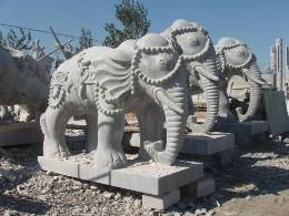 石雕象汉白玉石象，石雕大象图1