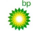 BP膜久利D导轨油|BP Mac图1