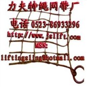 泰州钢丝绳吊网图1