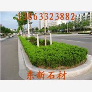 路沿石，五莲花路沿石，弯道路沿石图1