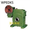 WPEDKS铸铁蜗轮蜗杆减速机