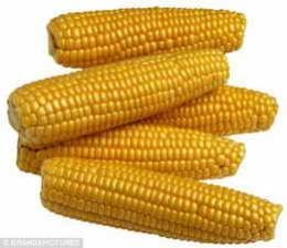 玉米,小麦,大麦,大豆,高粱图1
