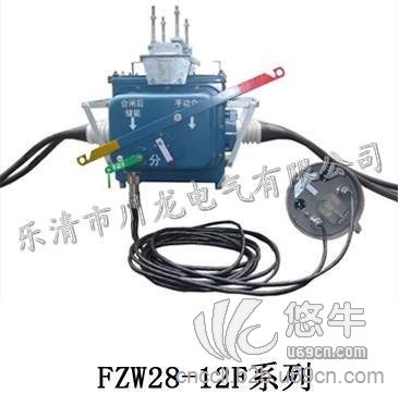 FZW28-12柱上真空负荷开关图1