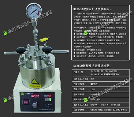 武汉微型高压反应器图1