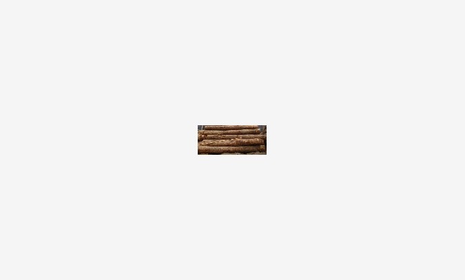 国行木业白松板材，供应白松板材，图1