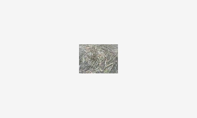 北京钼丝回收钨丝钴板稀有金属回收图1