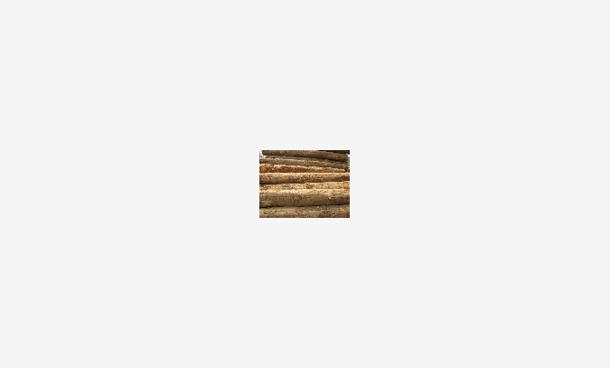 国行木业优质铁杉板材批发，铁杉生