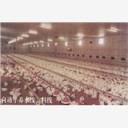 供应畜牧养鸡设备详细|养鸡设备养