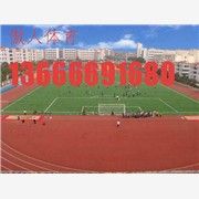 宁波 供应足球场地 足球场地施工