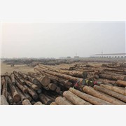 中环木业供应优质原木，原木加工，