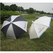 不滴水套雨伞（图），最酷雨伞价格