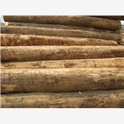国行木业原木加工，供应优质原木，图1