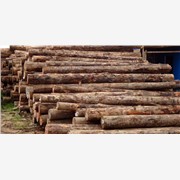 国行木业落叶松板材，落叶松方木规图1