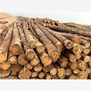 樟子松原木，供应樟子松板材，青岛