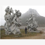 云南太湖石景观石，重庆太湖石景观