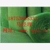 重庆土工网垫制造，重庆土工网垫供