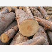 新西兰木材|木材加工技术|加工木