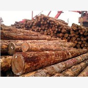加工优质木材，木材加工报价，山东