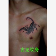深圳纹身|古龙纹身|罗湖纹身|东图1
