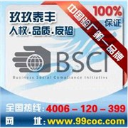 BSCI验厂方面的几点内容、bs图1