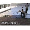 上海徐虎房屋补漏、上海徐虎屋顶做图1