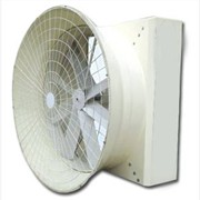 供应低能耗负压风机工业风扇低噪音