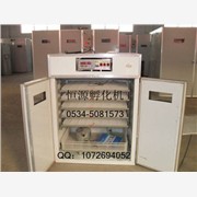 880只孵化机器、880枚鸽子孵