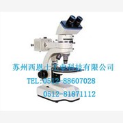 江南XP-221偏光显微镜