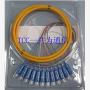 【TCC】SC束状尾纤&12芯SC束状尾纤图1