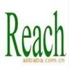 玩具REACH检测，礼品REACH报告，儿童护理产品REACH认证图1