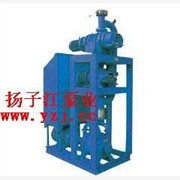 真空泵:罗茨泵-水环泵机组