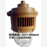 SBF6204免维护节能防水防尘防腐灯