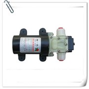 供应微型水泵12V、微型水泵24