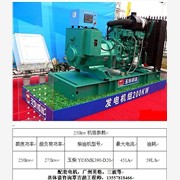 广西通力供应防城港250kw玉柴图1