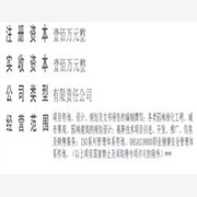 项目可行性研究报告|项目建议书图1