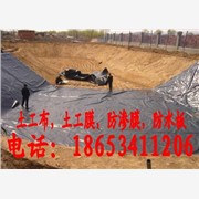 复合土工膜防水材料供应厂家山东德图1